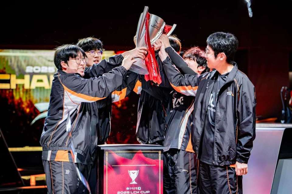 t表示, HLE教练